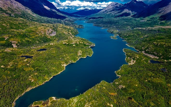 Alaska, verano, montaña, río, bosque, estados UNIDOS, América