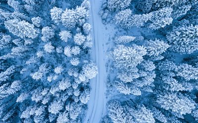 4k, snowy forest, aerial view, evening, sunset, winter, forest, winter landscape, snow-covered trees, view from above