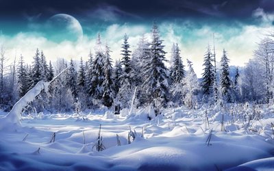 inverno, floresta, neve, árvores, drifts de neve