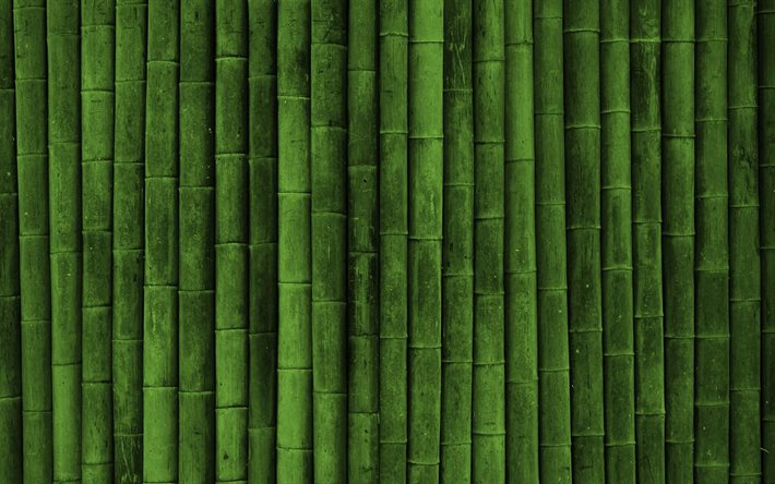 bambou vert, tige de bambou, Japonais en bambou, bambou