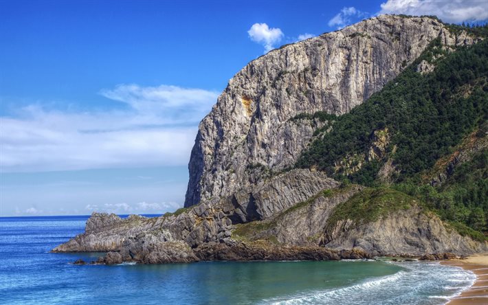ocean, rock, sea, forest, green forest, Spain, Bay of Biscay, Atlantic Ocean, Iberian Peninsula