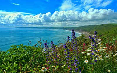 Whitsand Bay, estivo, costa, mare, Cornwall, Inghilterra
