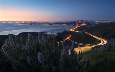 San Francisco, Golden Gate, evening, sunset, San Francisco city lights, San Francisco skyline, red bridge, USA