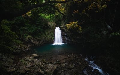 beautiful waterfall, forest lake, waterfalls, forest, stones, environment, waterfall