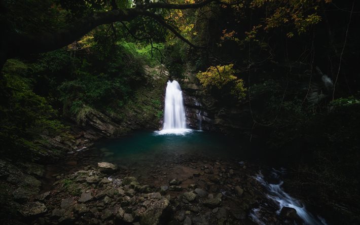 bela cachoeira, lago da floresta, cachoeiras, floresta, pedras, meio ambiente, cachoeira