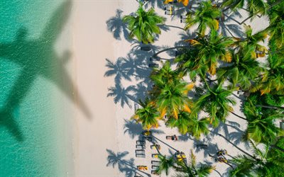 isola tropicale, spiaggia tropicale, visualizza dall'alto, viaggio estivo, vista dall'alto, palme, spiaggia, oceano, rilassamento, riposo