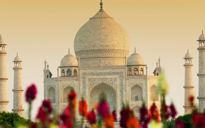 Taj Mahal, una carrera de 5k, mezquita, Agra, India