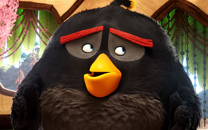 Bomba, caratteri, 2016, Angry Birds