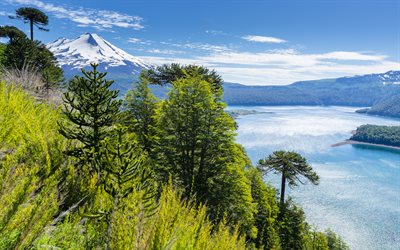 El Parque Nacional Conguillio, lago, cielo azul, montañas, verano, Chile