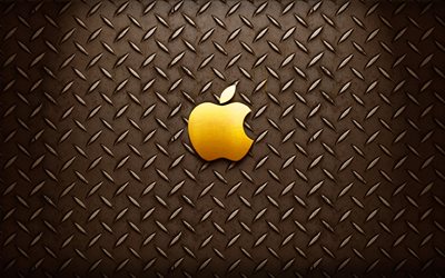 apple, le logo doré, plaque de métal