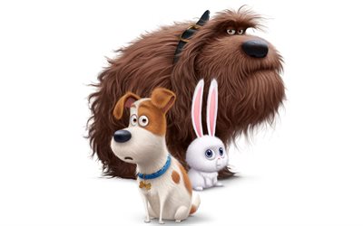 a vida secreta dos animais de estimação, personagens, cachorros, coelho, 2016, cartaz