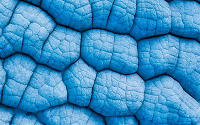blue stone texture, 4k, 3D textures, stone textures, 3D backgrounds, stone 3D backgrounds, blue stone, stone backgrounds, stone 3D textures