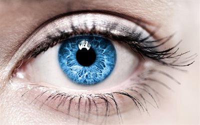blue eyes, female eye, macro, eyes
