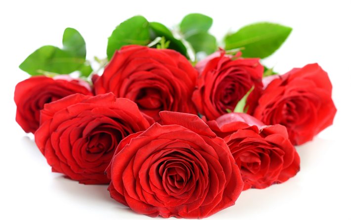 붉은 장미, 꽃다발, 미, 붉은 꽃