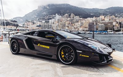Hamann, tuning, Lamborghini Aventador, supercars, black Aventador, Lamborghini