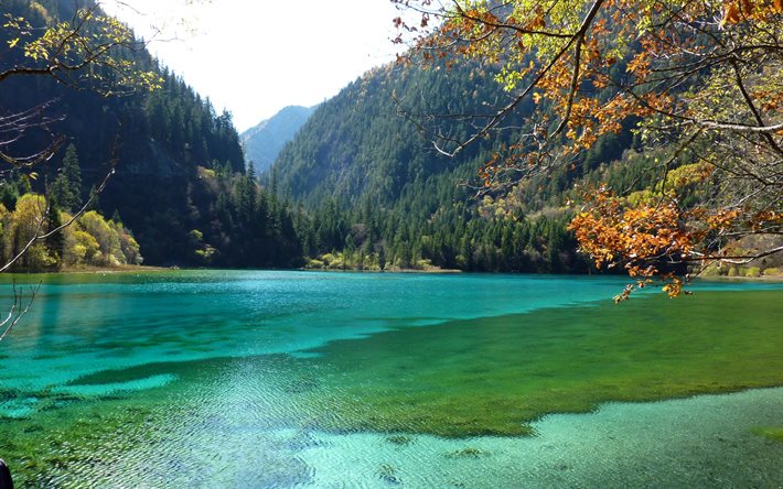 jiuzhaigou国立公園, 夏, 山, 湖, 中国, 森林