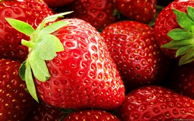 des fraises, macro, des fruits, baies, fermer, fruits mûrs, baies mûres, fraise