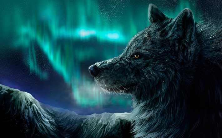 lobo, los depredadores, la aurora, las montañas, la noche