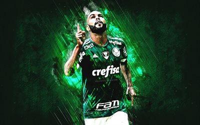 Felipe Melo, grunge, Palmeiras, Green stone, soccer, Brazilian footballers, Melo, Serie A, football, Brazil