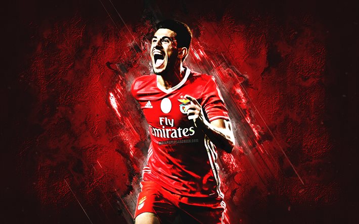 pizzi, luis miguel afonso fernandes, grunge, sl benfica, gray stone, soccer, english footballers, fussball, portugal