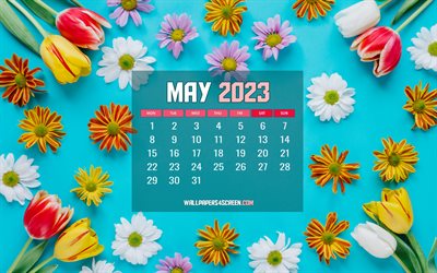4k, calendario maggio 2023, cornici floreali, sfondi blu, calendari primaverili, fiori di primavera, 2023 concetti, calendari di maggio, calendari 2023, maggio