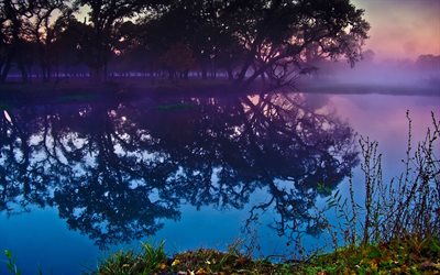 Sebastopol, lake, morning, trees, California, USA