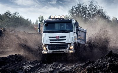 camiones, 2016, Tatra de Phoenix, en movimiento, la suciedad, la velocidad, tipper