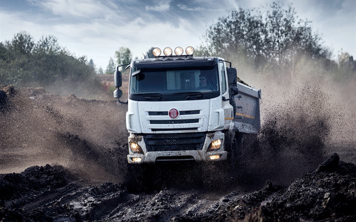 trucks, 2016, Tatra Phoenix, in move, dirt, speed, tipper