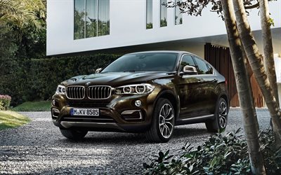 crossovers, 2016, BMW X6, brown BMW