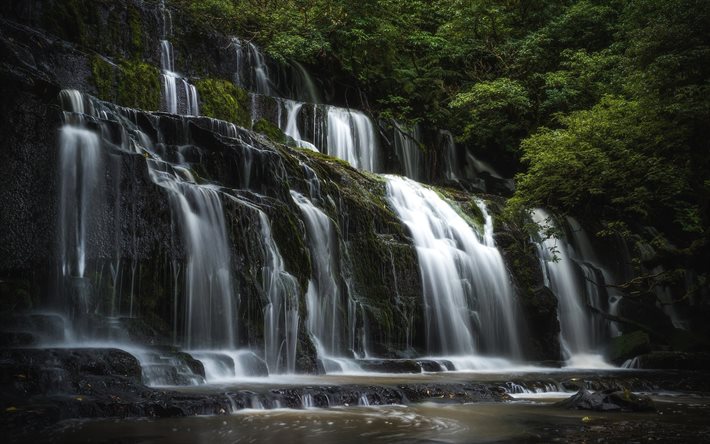 cachoeira de pedra, tropical, floresta