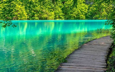 Plitvice Lakes National Park, summer, lake, forest, Croatia