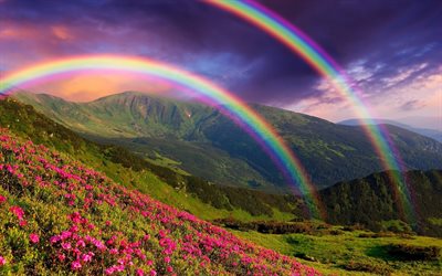 mountains, double rainbow, summer, flowers, clouds