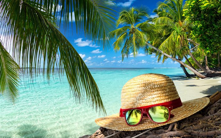 vacation, beach, sea, palm trees, coast, traveling, summer