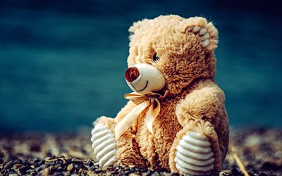 테디 베어, 귀여운 장난감, 로맨틱한 선물, 곰 장난감, 귀여운 테디베어, 귀여운 선물