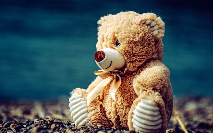 테디 베어, 귀여운 장난감, 로맨틱한 선물, 곰 장난감, 귀여운 테디베어, 귀여운 선물