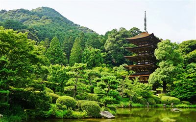 Rurikoji Templo, el verano, el japonés monumentos, estanque, Yamaguchi, Japón
