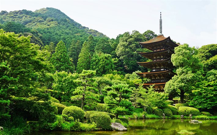 rurikoji-templet, sommar, japanska landmärken, damm, yamaguchi, japan