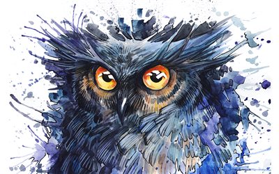 Owl, creative, wildlife, artwork, predatory bird, Strigiformes