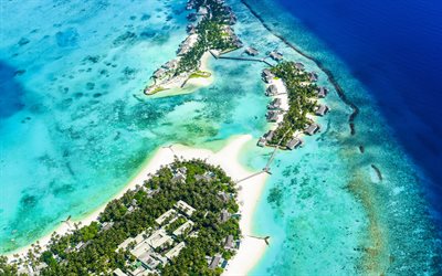 tropical islands, the ocean, luxury beaches, palm trees, hotels, coast, islands, azure