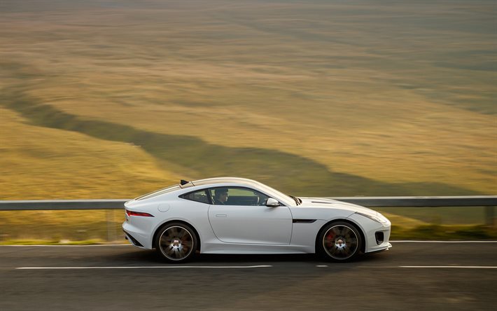 2019, Jaguar F-Type Chequered Flag Edition, side view, new british cars, new white F-Type, sports car, Jaguar
