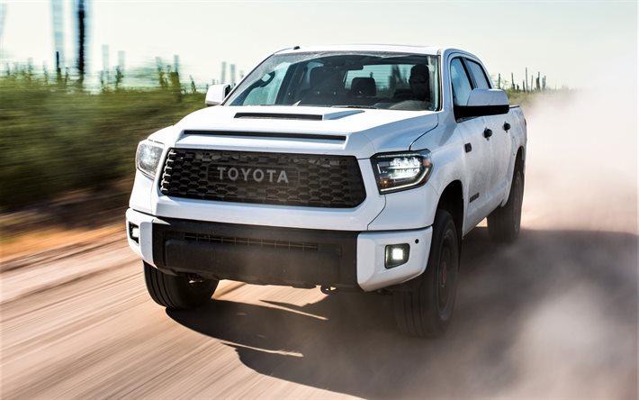 Toyota Tundra, 2019, Tam Boy Kamyon, yeni beyaz, yeni Amerikan arabaları, yeni beyaz Tundra, Toyota
