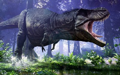 T-Rex, 4K, dinosaurs, Tyrannosaurus