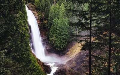 waterfall, forest, spruce, USA, Washington, Wallace Falls