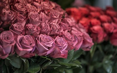 iso kimppu, ruusut, vaaleanpunaiset ruusut, punaiset ruusut, kukkakauppa, ruusu, ruusukimppu