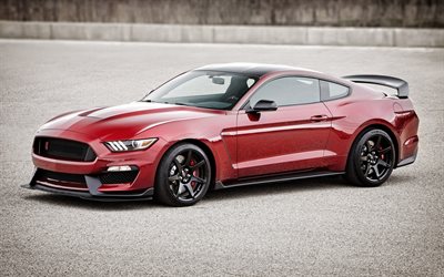 Ford Mustang, Shelby GT350R, 2016, coupé sport, rouge mustang, voiture de sport rouge, les lignes noires, tuning, rouge Ford