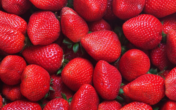 des fraises, baies, des fruits, baies saines, fond avec des fraises, fond de fraises