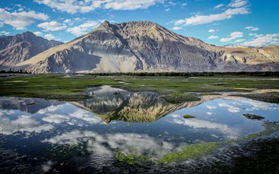 Montañas, verano, lago, cordillera, Ladakh, en el Valle de Nubra, India