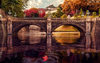 tokyo, autunno, palazzo, ponte, città giapponesi, giappone, asia
