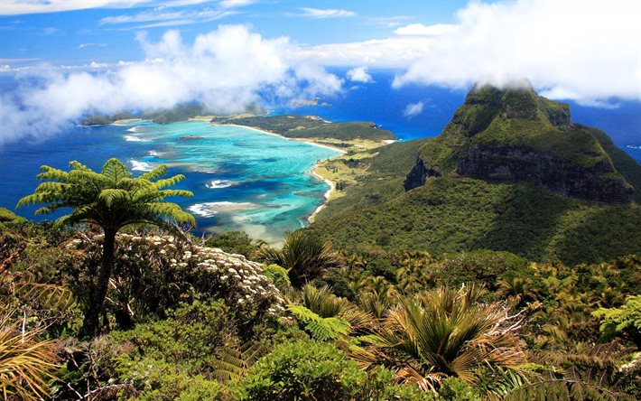 l'île, l'été, la côte, les montagnes, l'Australie, l'Île de Lord Howe
