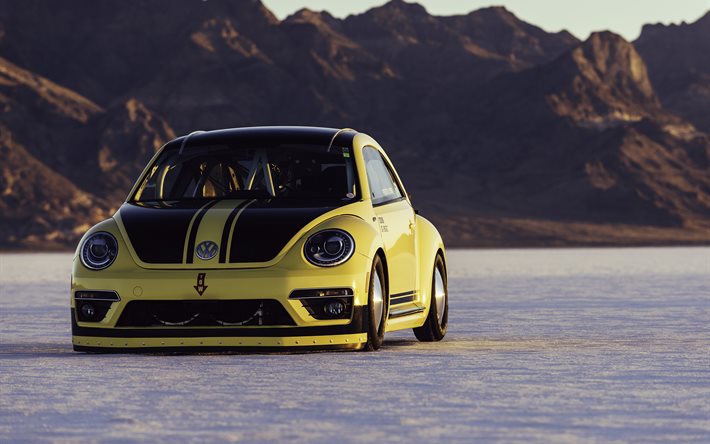 Volkswagen Beetle anlamları yoktur, 2016, çöl, ayarlama